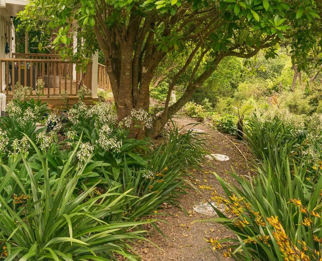 Birdsong Cottage Paraparaumu New Zealand